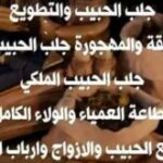 01aff891-5436-40f1-bbb0-a26803985fa9-310x165-1